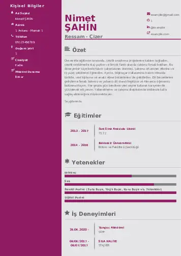 Ressam Cv Örnekleri cv indir